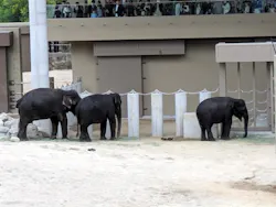 天王寺動物園に投稿された画像（2026/4/29）