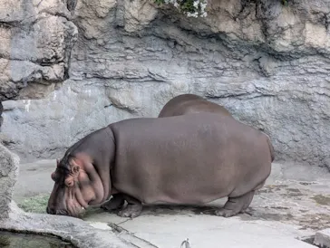 天王寺動物園に投稿された画像（2026/4/29）