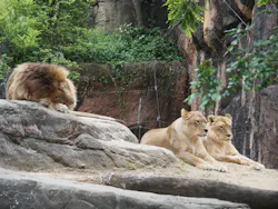 天王寺動物園に投稿された画像（2026/4/29）