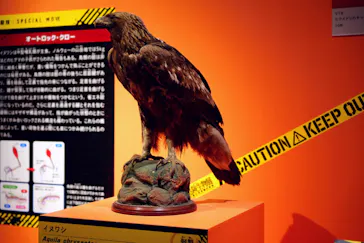 特別展「超危険生物展　科学で挑む生き物の本気」に投稿された画像（2026/4/29）