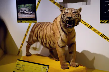 特別展「超危険生物展　科学で挑む生き物の本気」に投稿された画像（2026/4/29）