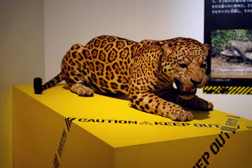 特別展「超危険生物展　科学で挑む生き物の本気」に投稿された画像（2026/4/29）