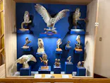 特別展「鳥 ～ゲノム解析が解き明かす新しい鳥類の系統～」に投稿された画像（2026/4/29）