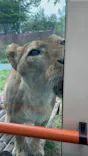 多摩動物公園に投稿された画像（2026/4/29）