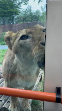 多摩動物公園に投稿された画像（2026/4/29）