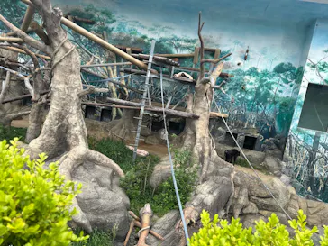 天王寺動物園に投稿された画像（2026/4/29）