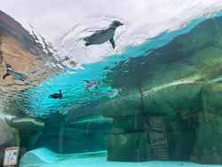 天王寺動物園に投稿された画像（2026/4/29）