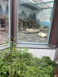 天王寺動物園に投稿された画像（2026/4/29）