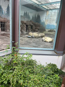 天王寺動物園に投稿された画像（2026/4/29）