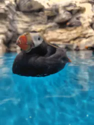 アクアワールド茨城県大洗水族館に投稿された画像（2026/4/29）