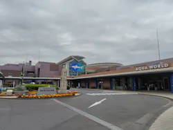 アクアワールド茨城県大洗水族館に投稿された画像（2026/4/29）