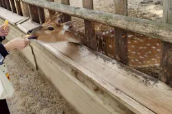 東武動物公園に投稿された画像（2026/4/29）