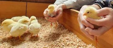 東武動物公園に投稿された画像（2026/4/29）