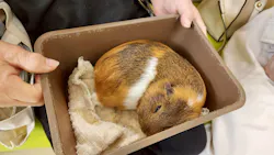 東武動物公園に投稿された画像（2026/4/29）