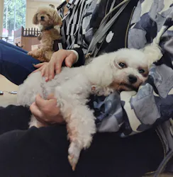 東武動物公園に投稿された画像（2026/4/29）