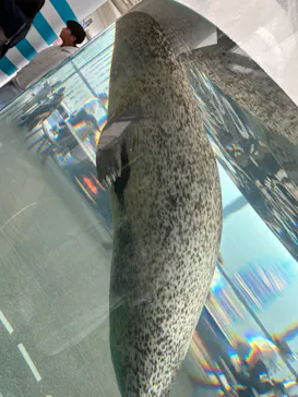 京都水族館に投稿された画像（2026/4/29）