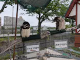 あらかわ遊園に投稿された画像（2026/4/30）
