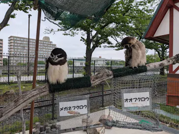 あらかわ遊園に投稿された画像（2026/4/29）