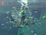 箱根園水族館に投稿された画像（2026/4/30）
