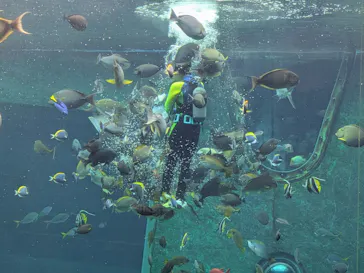 箱根園水族館に投稿された画像（2026/4/29）