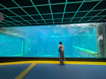 箱根園水族館に投稿された画像（2026/4/29）