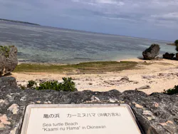 沖縄美ら海水族館に投稿された画像（2026/4/29）