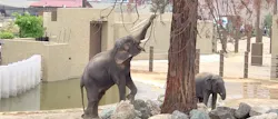 天王寺動物園に投稿された画像（2026/4/29）