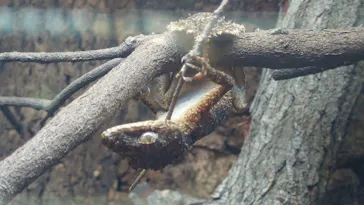 体感型動物園iZooに投稿された画像（2026/4/30）