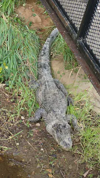 体感型動物園iZooに投稿された画像（2026/4/30）