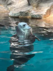 大分マリーンパレス水族館 「うみたまご」に投稿された画像（2026/4/30）