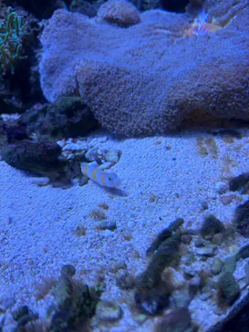 しながわ水族館に投稿された画像（2026/4/30）