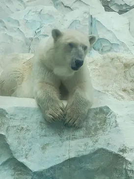 恩賜上野動物園に投稿された画像（2026/4/30）
