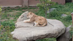 日立市かみね動物園に投稿された画像（2026/4/30）