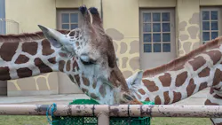 日立市かみね動物園に投稿された画像（2026/4/30）