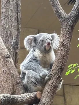 名古屋市東山動植物園に投稿された画像（2026/4/30）