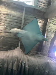 マクセル アクアパーク品川に投稿された画像（2026/4/30）