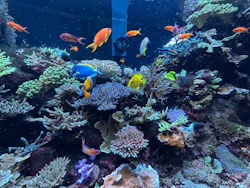 マクセル アクアパーク品川に投稿された画像（2026/4/30）