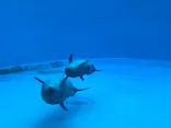 名古屋港水族館に投稿された画像（2026/4/30）