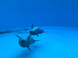 名古屋港水族館に投稿された画像（2026/4/30）