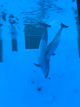 名古屋港水族館に投稿された画像（2026/4/30）
