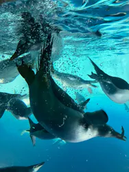 名古屋港水族館に投稿された画像（2026/4/30）