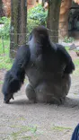 恩賜上野動物園に投稿された画像（2026/4/30）