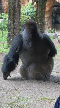 恩賜上野動物園に投稿された画像（2026/4/30）
