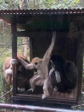 恩賜上野動物園に投稿された画像（2026/4/30）