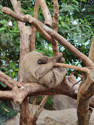 神戸どうぶつ王国に投稿された画像（2026/4/30）