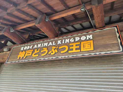 神戸どうぶつ王国に投稿された画像（2026/4/30）