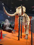 特別展「超危険生物展　科学で挑む生き物の本気」に投稿された画像（2026/4/30）