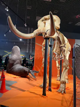 特別展「超危険生物展　科学で挑む生き物の本気」に投稿された画像（2026/4/30）