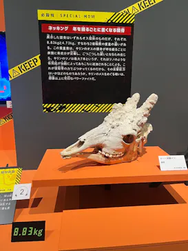 特別展「超危険生物展　科学で挑む生き物の本気」に投稿された画像（2026/4/30）