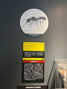 特別展「超危険生物展　科学で挑む生き物の本気」に投稿された画像（2026/4/30）
